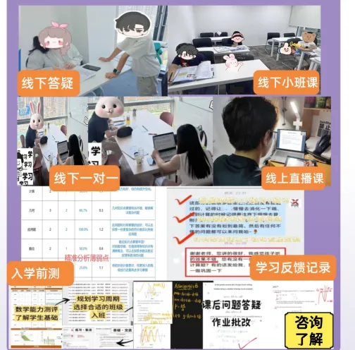 中考后转轨国际学校,ALevel、AP、IB怎么选?附犀牛小班课/1对1课程!-第8张图片-四季读书网