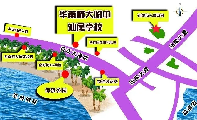中考不起眼,高考上金榜——汕尾华附彰显超强加工实力-第7张图片-四季读书网