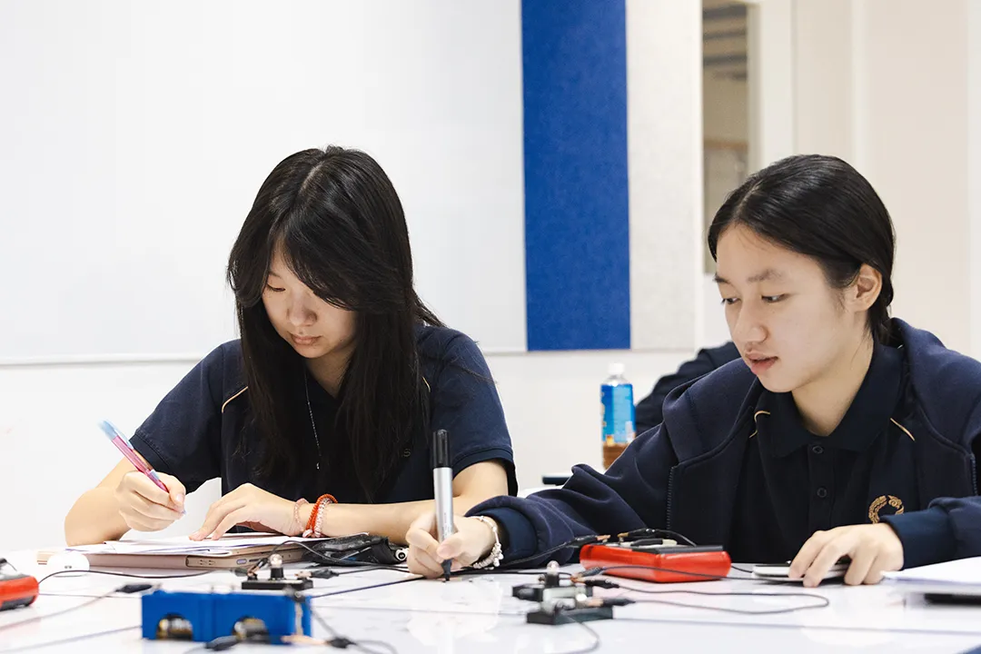 中考转轨|大学速通项目:先读高中再选方向,新增大学保障机制-第14张图片-四季读书网