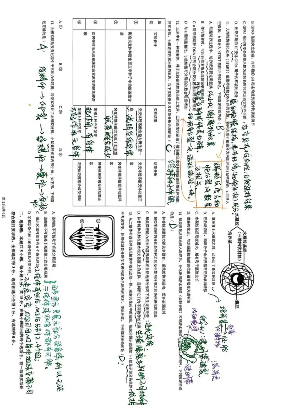 2026黑吉辽蒙生物真题及答案简述-第2张图片-四季读书网