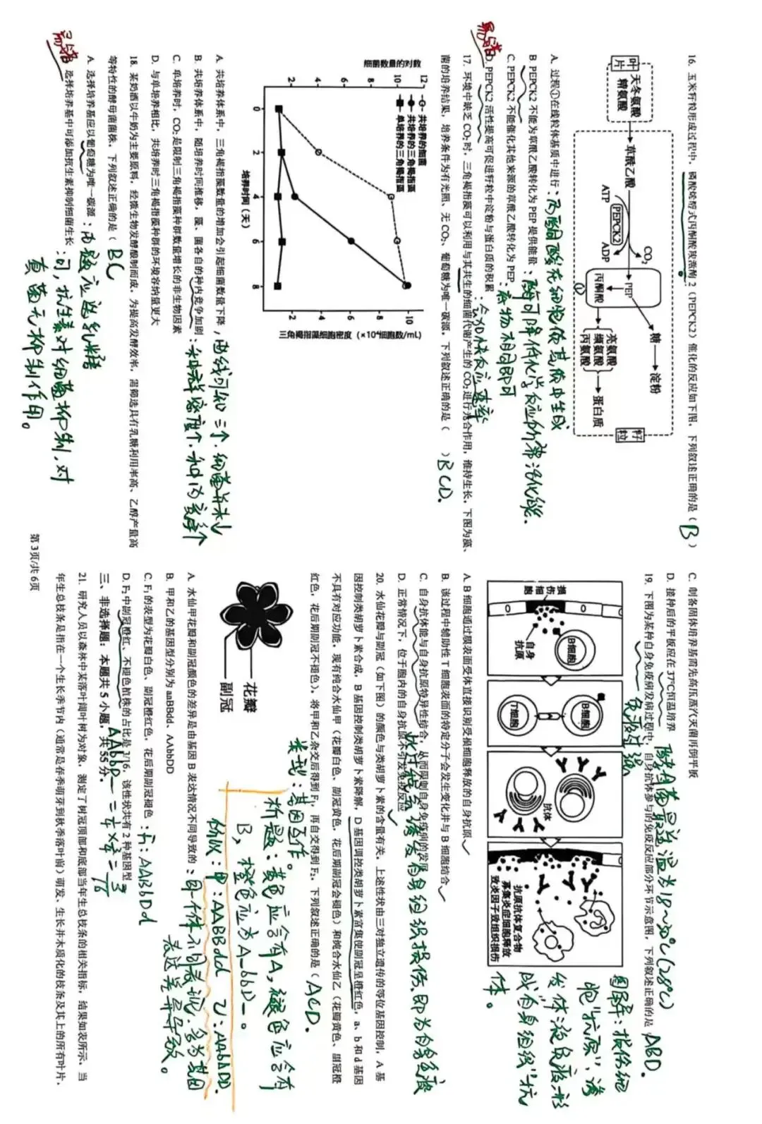 2026黑吉辽蒙生物真题及答案简述-第3张图片-四季读书网