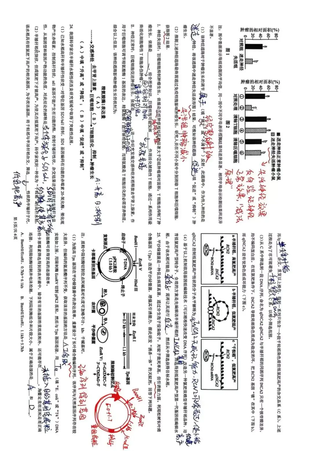 2026黑吉辽蒙生物真题及答案简述-第5张图片-四季读书网