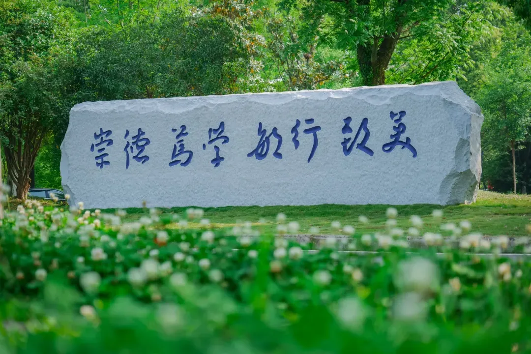 【27环艺考研定向择校】环境设计考研院校全解析及历年真题,你想知道的都在这里!——上-第13张图片-四季读书网