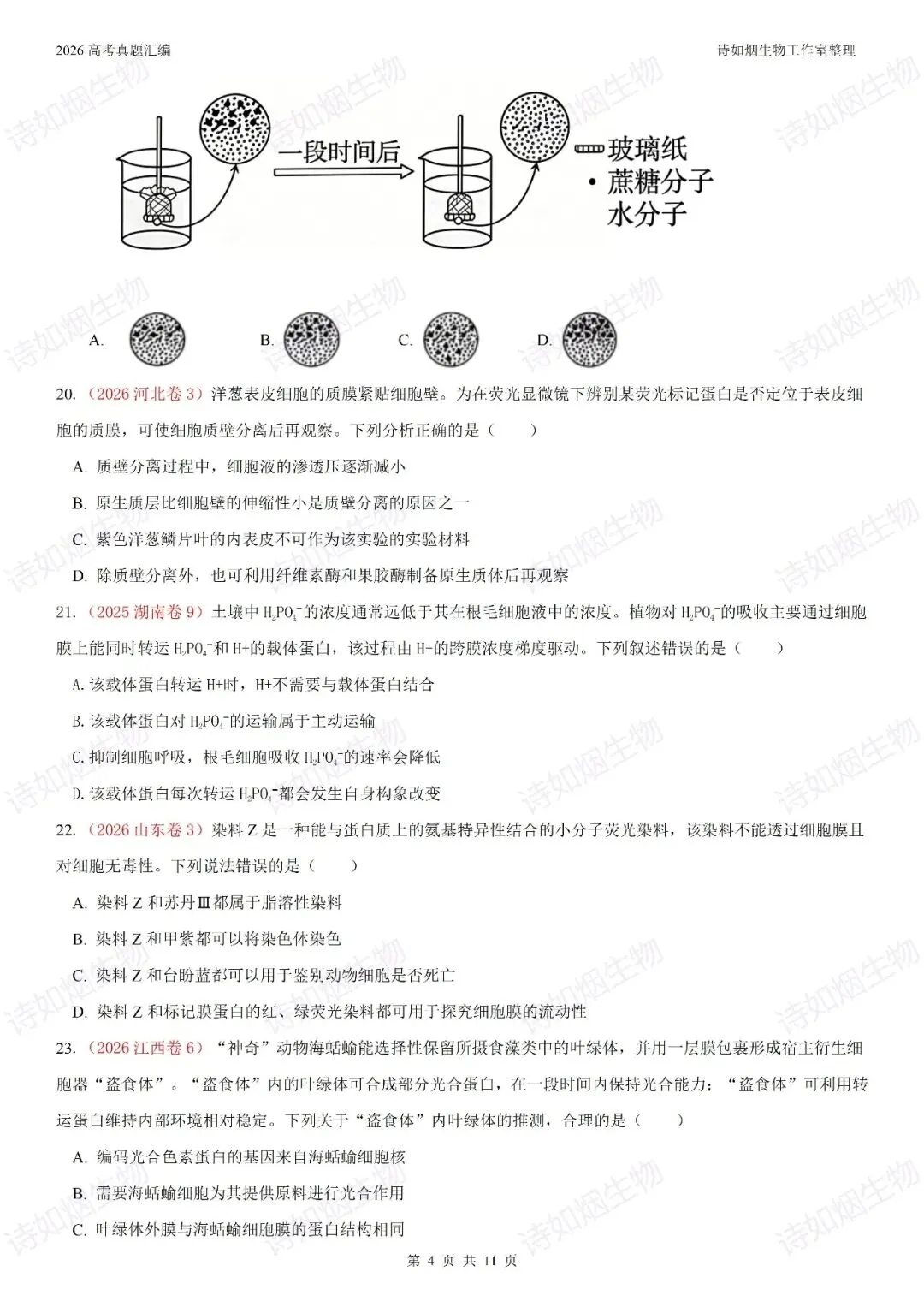 2026高考生物真题汇编----必修一选择题部分(上)-第4张图片-四季读书网