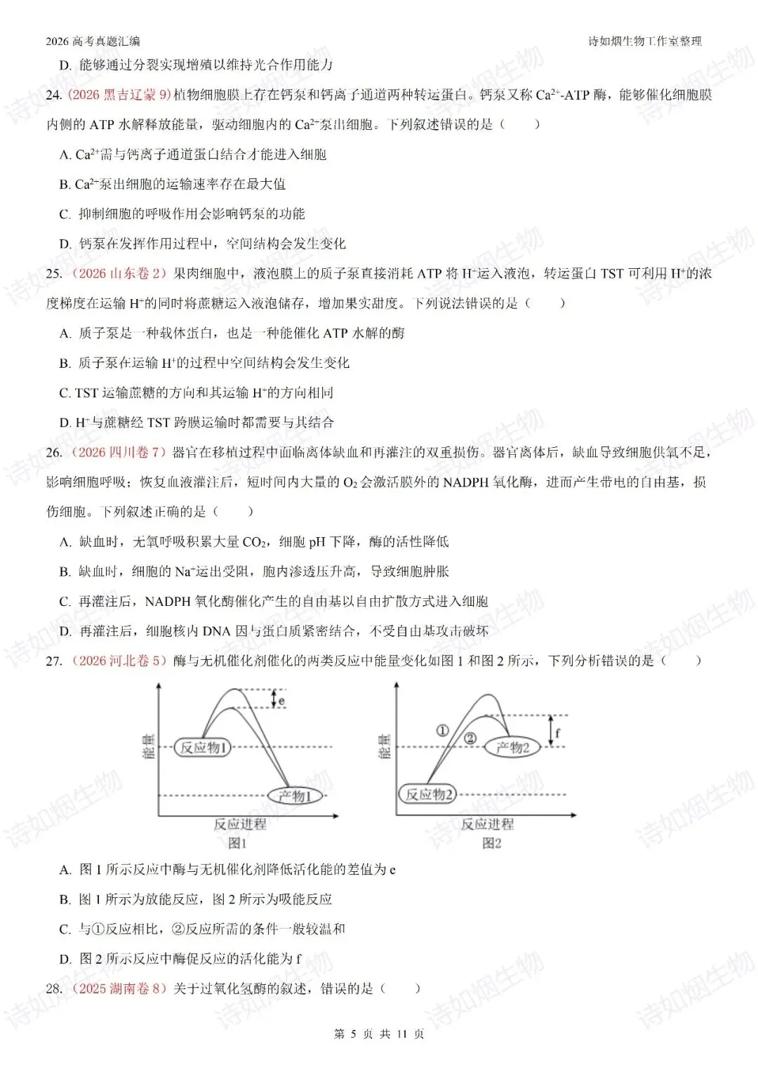 2026高考生物真题汇编----必修一选择题部分(上)-第5张图片-四季读书网
