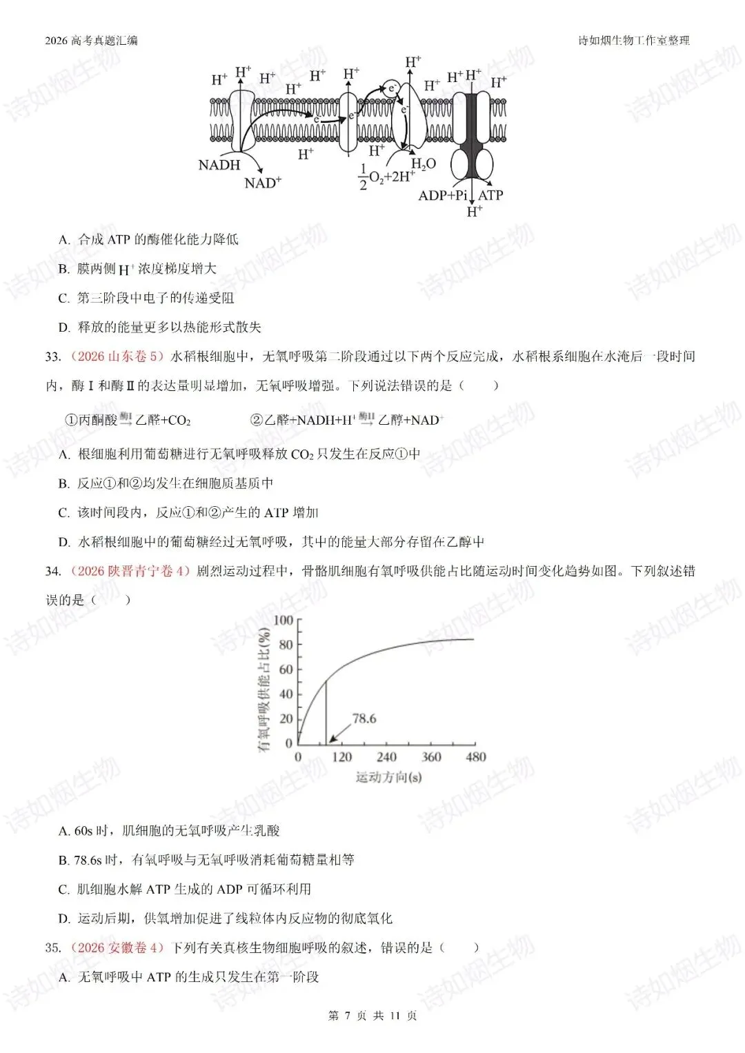 2026高考生物真题汇编----必修一选择题部分(上)-第7张图片-四季读书网