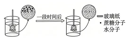 高考真题 | 2026年广东省普通高中学业水平选择性考试生物学试题-第3张图片-四季读书网