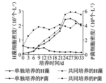 高考真题 | 2026年广东省普通高中学业水平选择性考试生物学试题-第6张图片-四季读书网