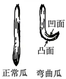 高考真题 | 2026年广东省普通高中学业水平选择性考试生物学试题-第7张图片-四季读书网