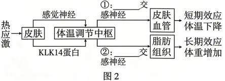 高考真题 | 2026年广东省普通高中学业水平选择性考试生物学试题-第12张图片-四季读书网