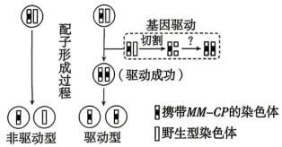 高考真题 | 2026年广东省普通高中学业水平选择性考试生物学试题-第14张图片-四季读书网