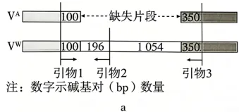 高考真题 | 2026年广东省普通高中学业水平选择性考试生物学试题-第15张图片-四季读书网