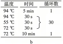 高考真题 | 2026年广东省普通高中学业水平选择性考试生物学试题-第16张图片-四季读书网