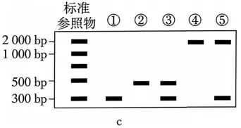 高考真题 | 2026年广东省普通高中学业水平选择性考试生物学试题-第17张图片-四季读书网