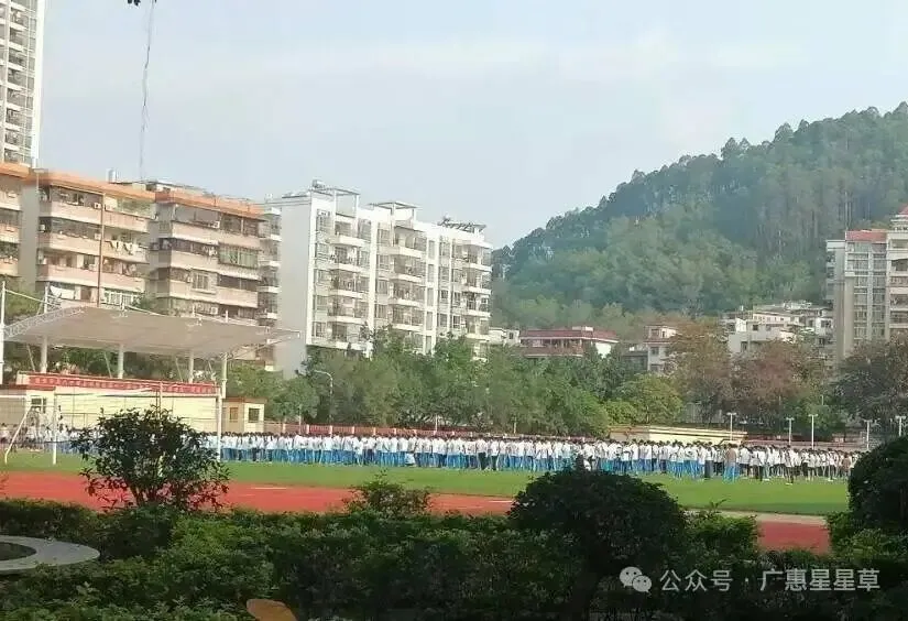 明天中考啦-第7张图片-四季读书网