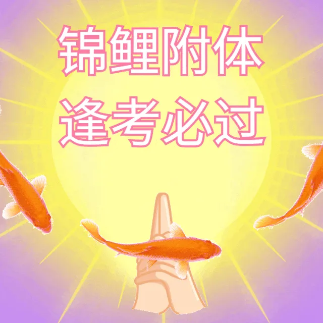 中考一举高粽-第5张图片-四季读书网