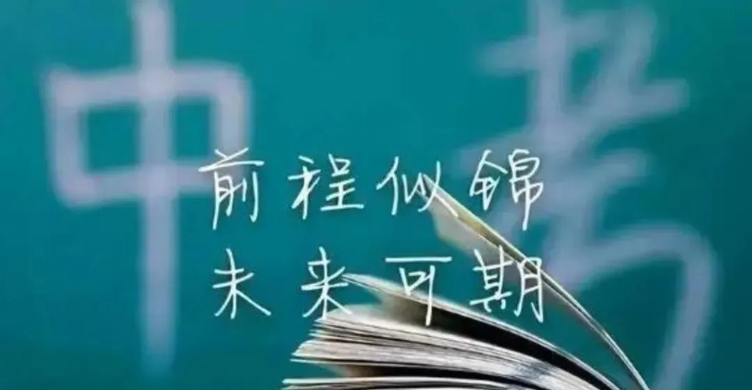 【如何选择学校】中考落榜≠人生完蛋,低分学生的未来选择和出路-第5张图片-四季读书网