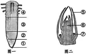 2026年黑龙江省龙东地区中考生物试卷-第9张图片-四季读书网
