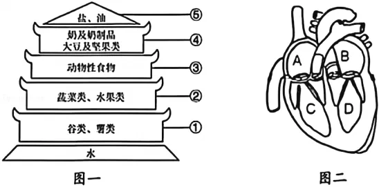2026年黑龙江省龙东地区中考生物试卷-第11张图片-四季读书网