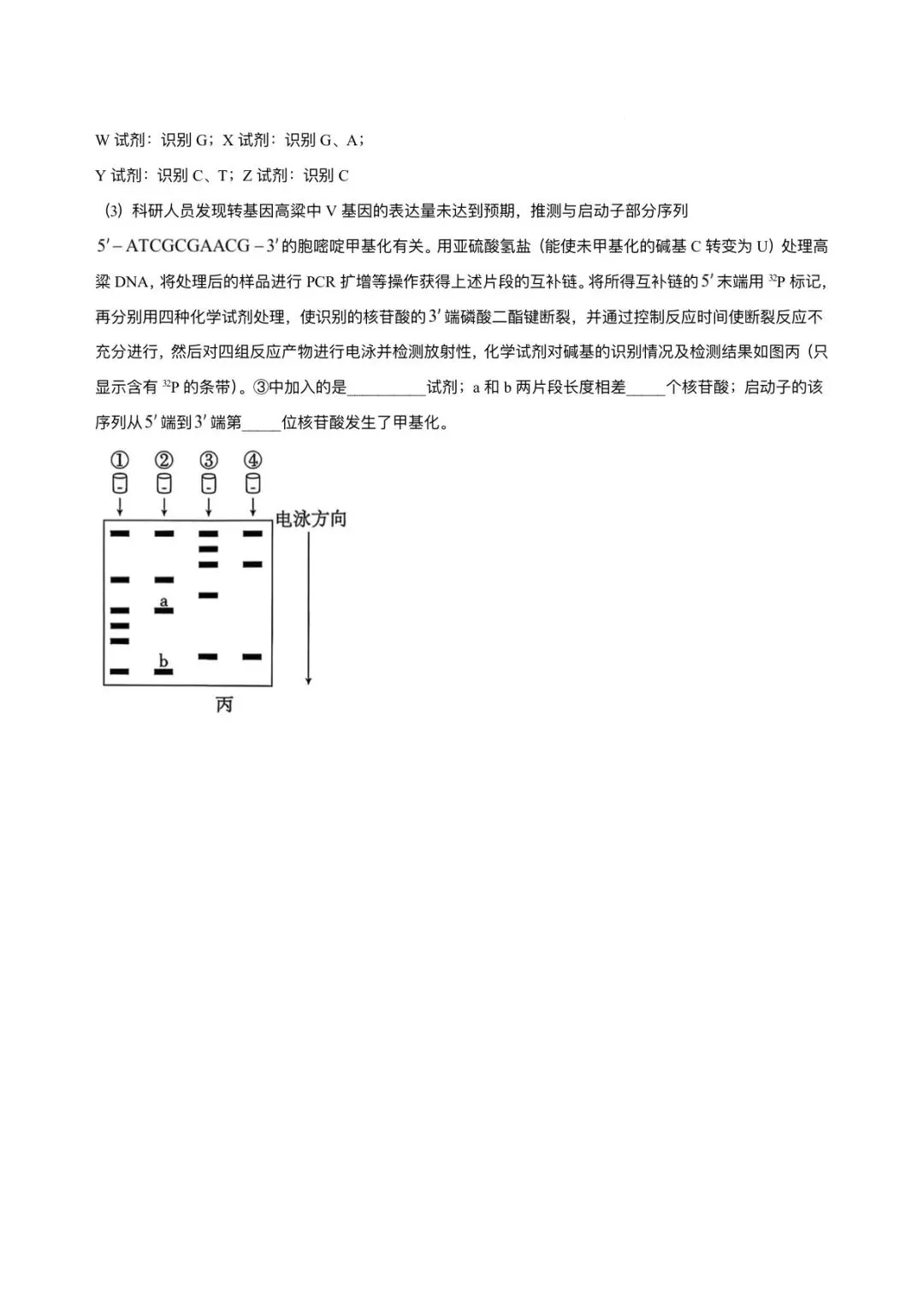 2026年贵州省高考生物试卷及答案-第8张图片-四季读书网
