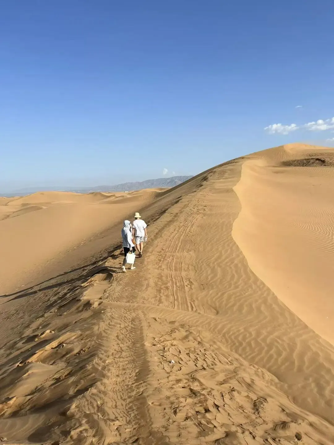 又到中考结束,想起了去年的夏天-第2张图片-四季读书网