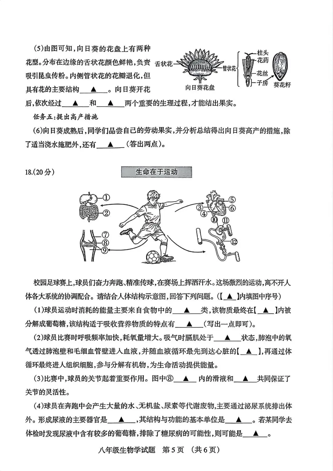 2026阳泉“中考”生物真题与答案-第5张图片-四季读书网