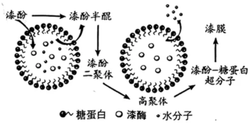 2026年湖北省中考语文真题及答案-第3张图片-四季读书网