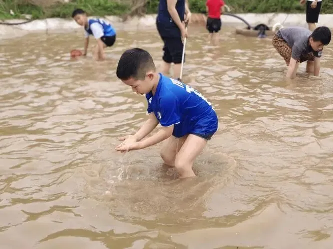 【中考阅读指导】孩子和鱼(丛棣)广东东莞2026一模-第5张图片-四季读书网
