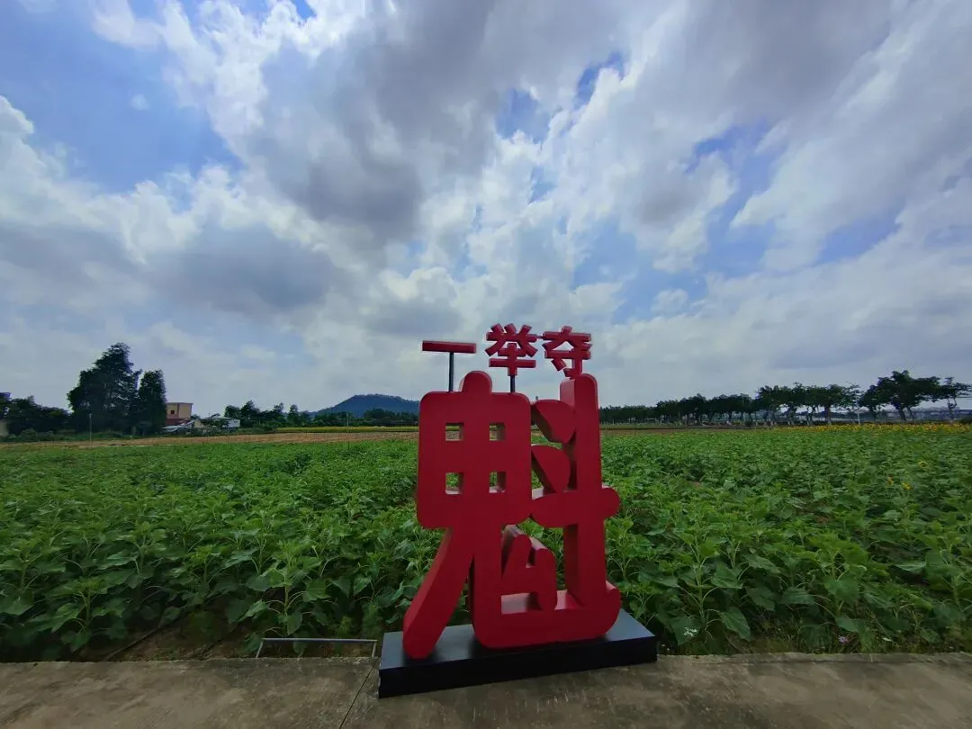 中考首日遇向日葵海,祝“小太阳”们,向阳而生,旗开得胜!!-第9张图片-四季读书网