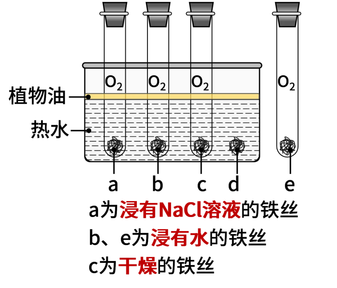 【终结篇】化学中招真题考点分类汇编(带2026年真题)-第11张图片-四季读书网