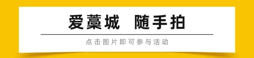 【民生关注】2026年石家庄市中考志愿填报须知来了!-第8张图片-四季读书网
