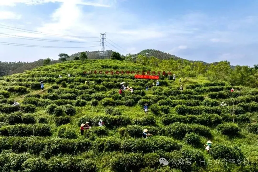 假如鹤山是一张试卷,你能拿到多少分?-第16张图片-四季读书网