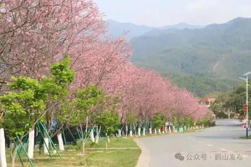 假如鹤山是一张试卷,你能拿到多少分?-第19张图片-四季读书网