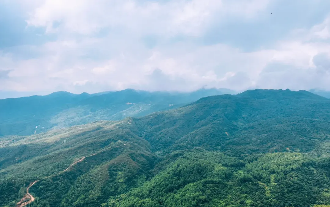 假如鹤山是一张试卷,你能拿到多少分?-第32张图片-四季读书网