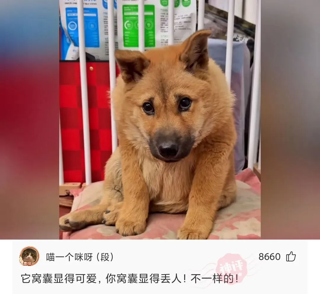 神回复:总是交了试卷,才看到学霸的答案~-第6张图片-四季读书网