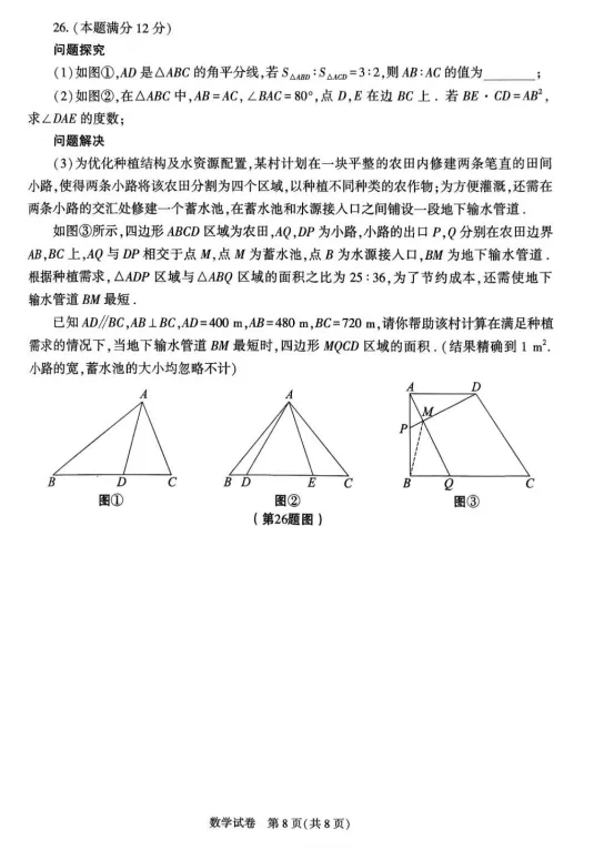 【原卷】2026年陕西中考数学试卷+答案-第8张图片-四季读书网
