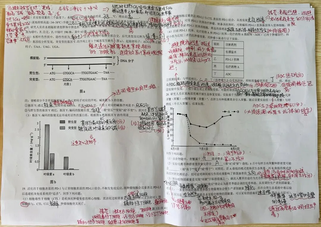 精研真题明方向 细析阅卷提质效-第12张图片-四季读书网