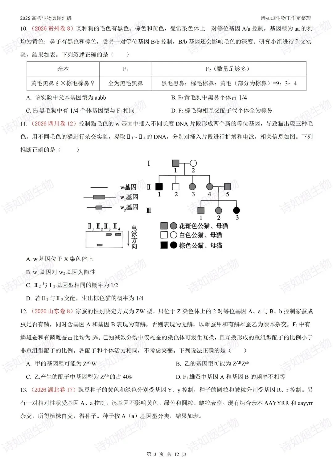 2026年高考生物真题汇编----必修二选择题部分(上)-第3张图片-四季读书网