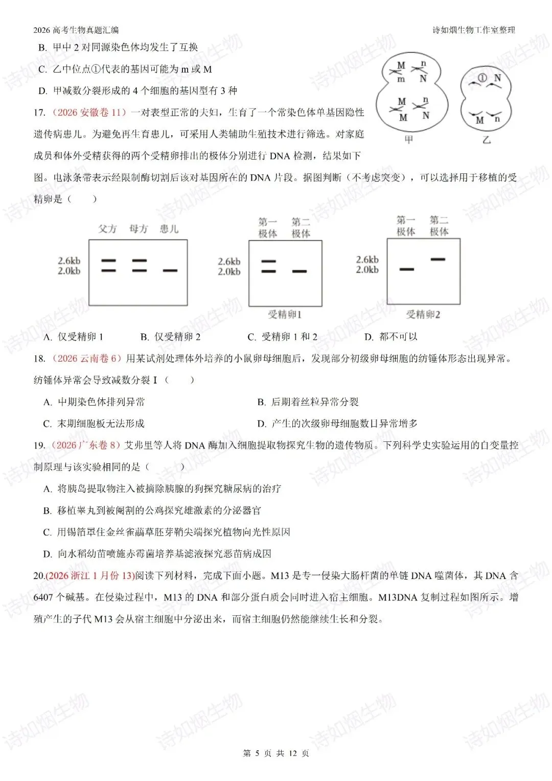 2026年高考生物真题汇编----必修二选择题部分(上)-第5张图片-四季读书网