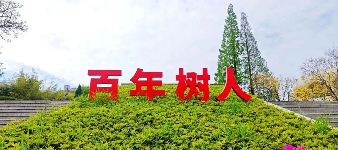 中考出分前一天-第1张图片-四季读书网
