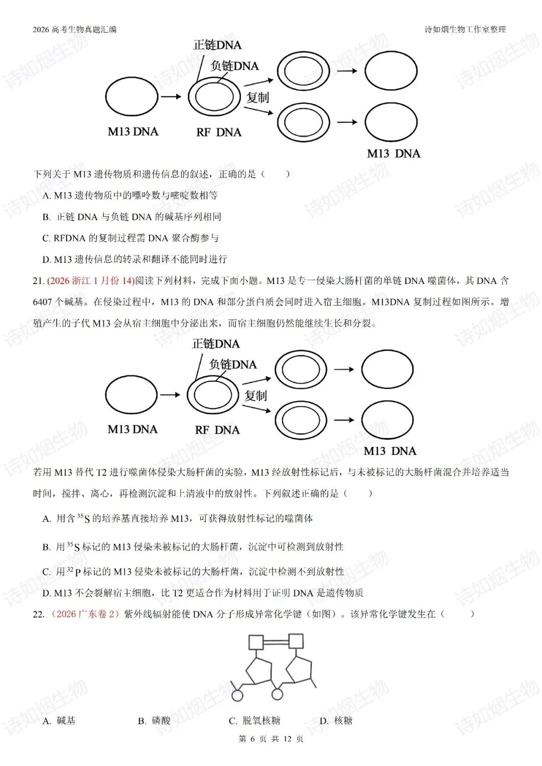 2026年高考生物真题汇编----必修二选择题部分(上)-第6张图片-四季读书网