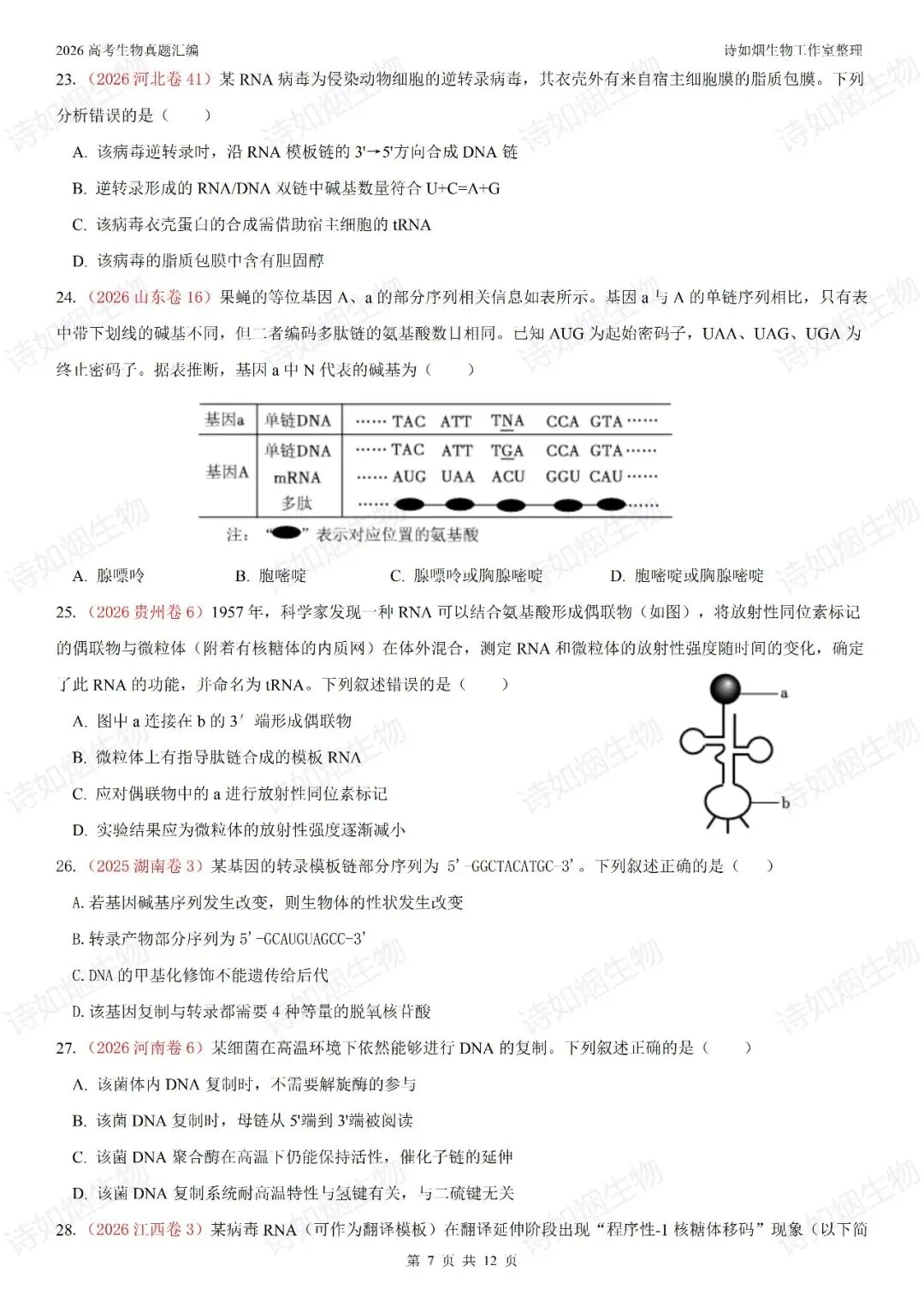 2026年高考生物真题汇编----必修二选择题部分(上)-第7张图片-四季读书网