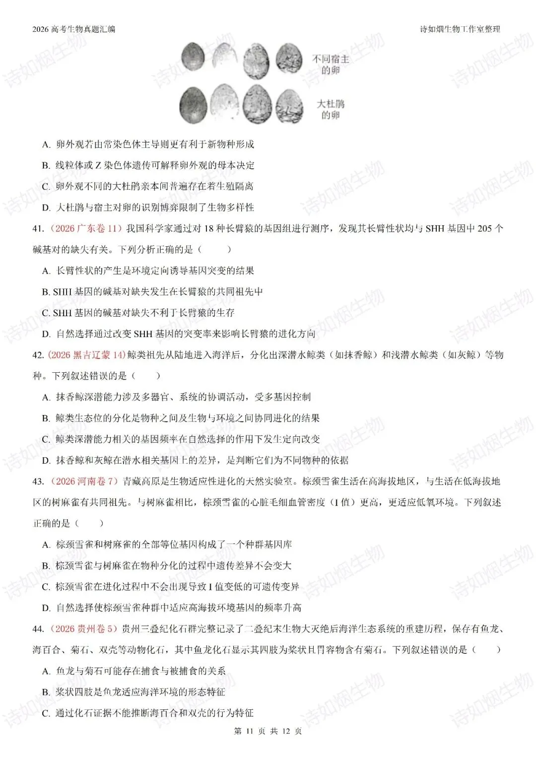 2026年高考生物真题汇编----必修二选择题部分(上)-第11张图片-四季读书网