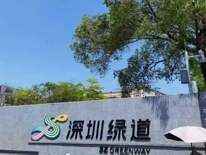 深圳深才中考复读招生简章,招生条件一览!-第6张图片-四季读书网