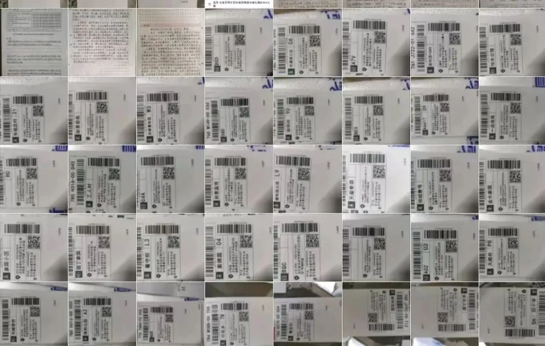 阶段性真题质检及仿真模拟考试-第17张图片-四季读书网