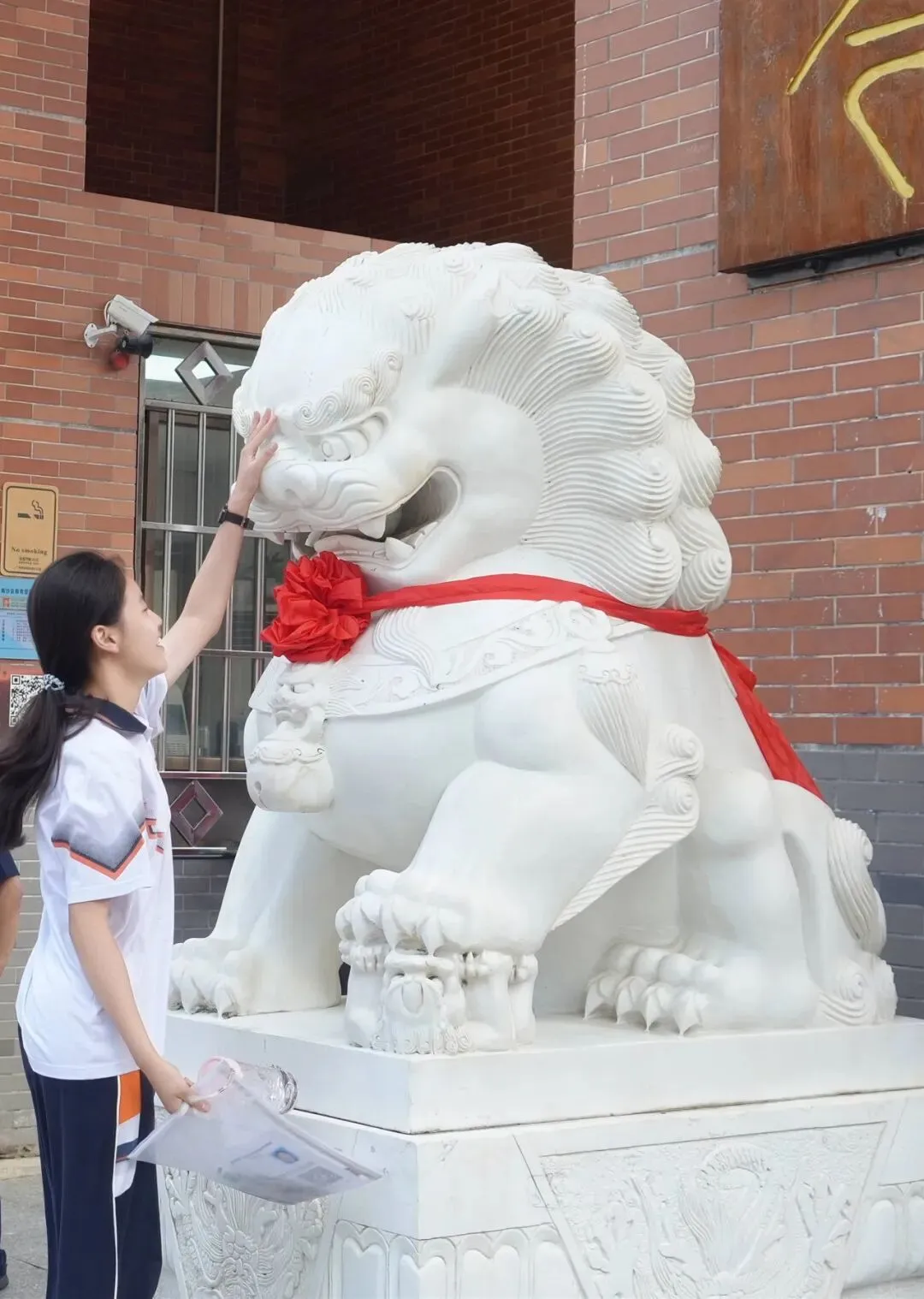中考 | 全力以赴,执笔逐光,少年自当扶摇上!-第55张图片-四季读书网