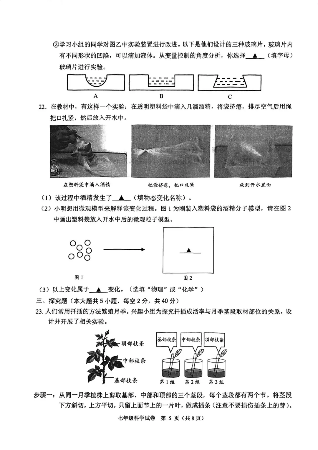 诸暨七年级科学期末试卷+手搓版答案-第4张图片-四季读书网