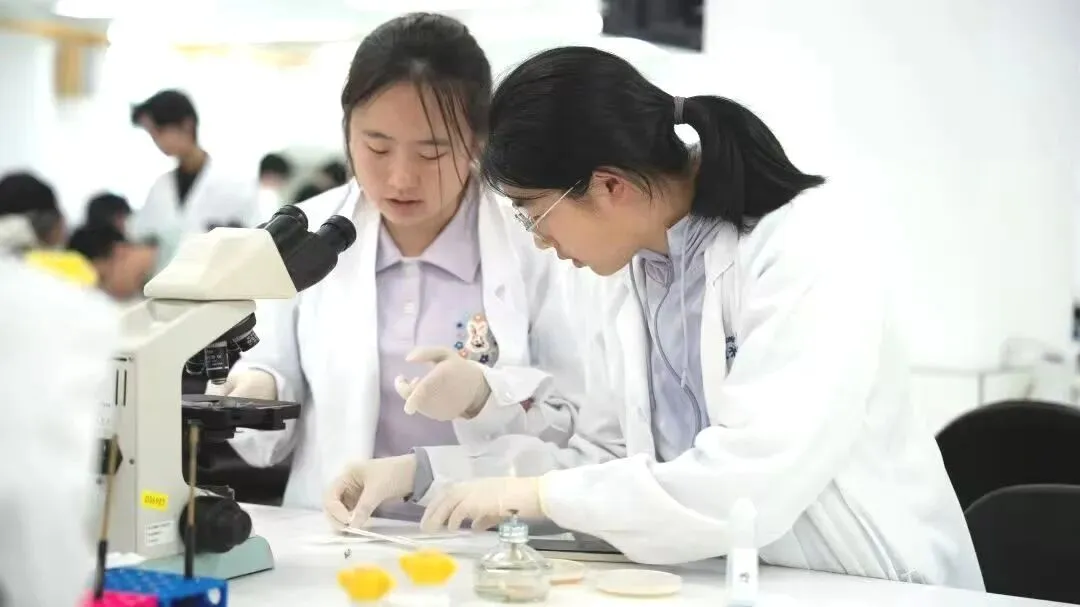 西马国际补录开放!中考后,另一条通往牛剑的路-第17张图片-四季读书网