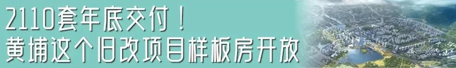 萌萌哒!刚刚,广州中考语文作文题出炉!-第14张图片-四季读书网
