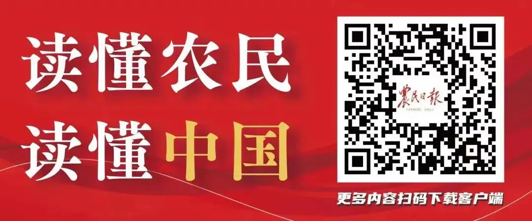 闭卷考试、案卷纠错、模拟执法、现场竞答——2026年山西省农业综合行政执法技能竞赛现场直击-第4张图片-四季读书网